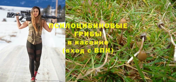 a pvp Алексин