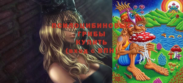 героин Алзамай