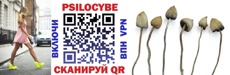 Псилоцибиновые грибы MAGIC MUSHROOMS  Купить закладки  Урень 